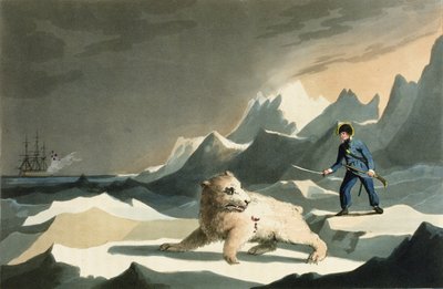 Jugendliche Unerschrockenheit: Junge Nelsons Angriff und Verfolgung eines Eisbären bei der Entdeckungsreise mit Kapitän Lutwidge zum Nordpol aus Edward Ormes Grafische Geschichte des Lebens von Nels von English School
